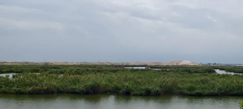 沙湖 SandLake photo 6