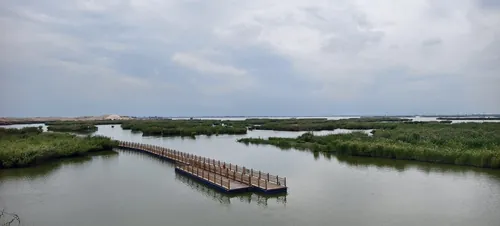 沙湖 SandLake photo 7