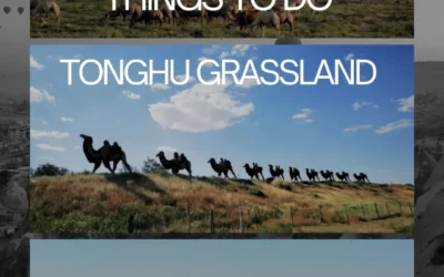 TONGHU GRASSLAND