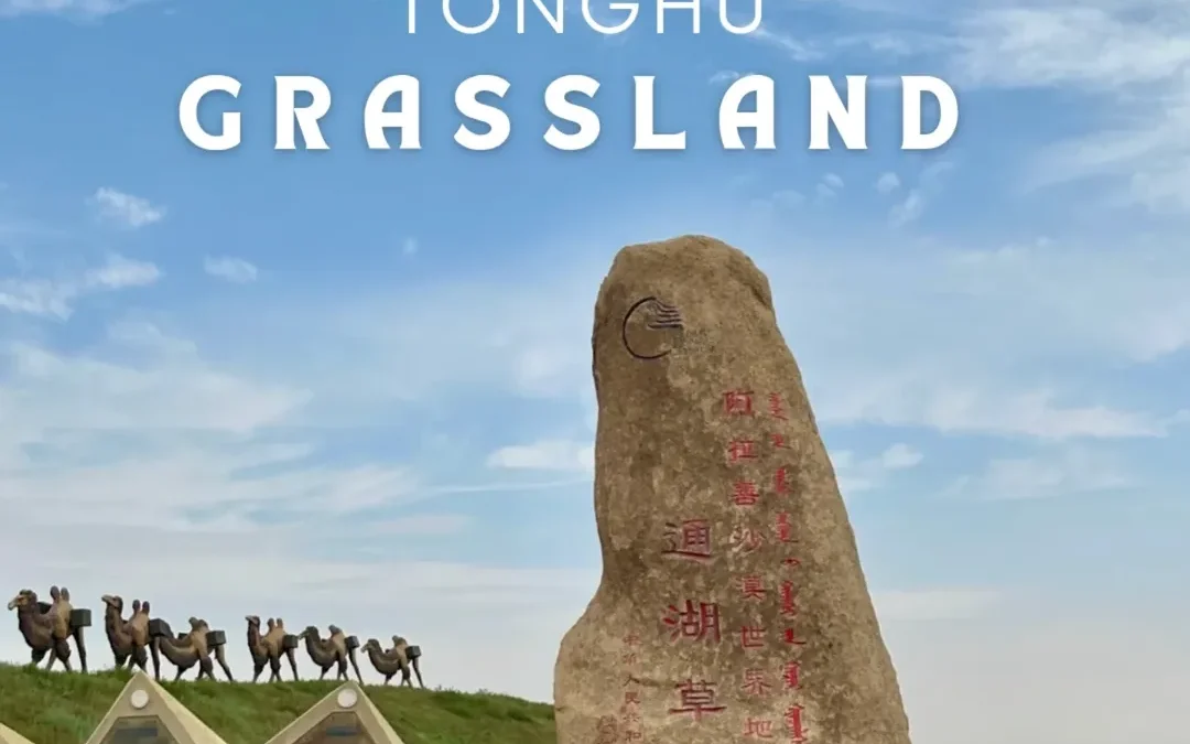 TONGHU GRASSLAND
